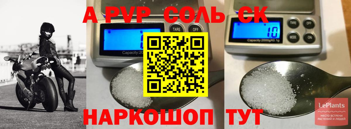 Alfa_PVP СК Новороссийск