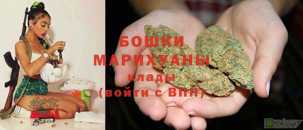 крисы Михайловск