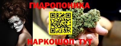 индика Апшеронск