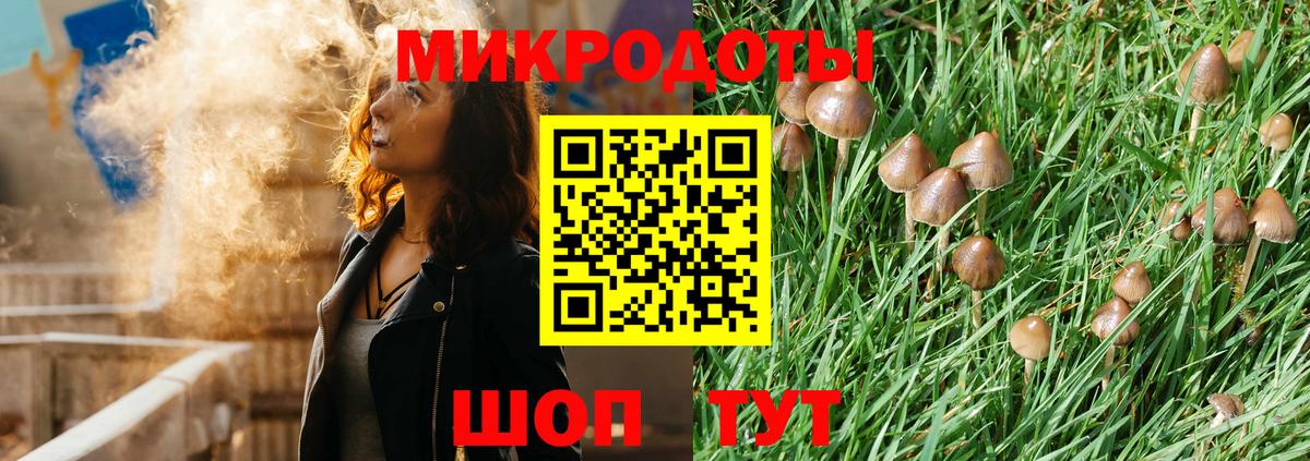 Галлюциногенные грибы MAGIC MUSHROOMS Новороссийск