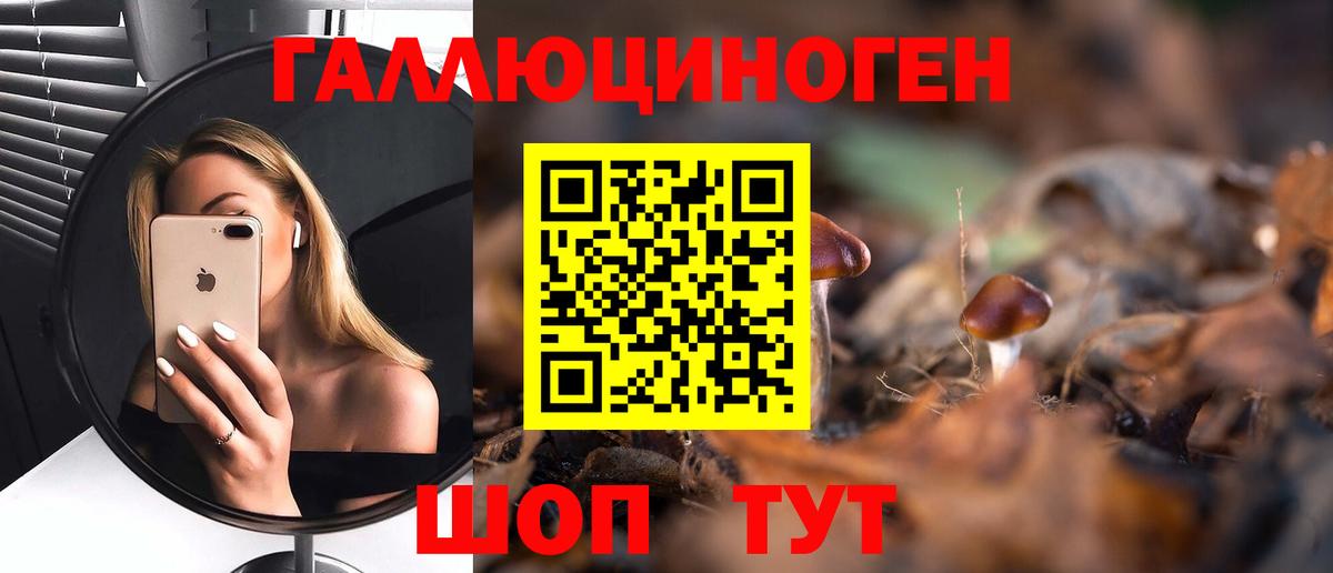Псилоцибиновые грибы Cubensis  Галлюциногенные грибы мицелий  сколько стоит  Новороссийск 