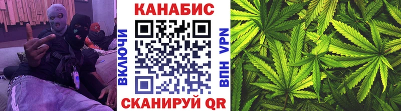 Каннабис план  купить наркотик  МЕГА ССЫЛКА  Новороссийск 